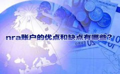 nra賬戶的優(yōu)點和缺點有哪些？