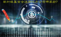 新加坡基金會(huì)注冊(cè)代辦公司哪家好？