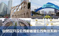 在國內(nèi)的自貿(mào)區(qū)開設(shè)公司和注冊香港公司有何不同？