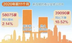 增長！增長！疫情背景下新加坡公司新注冊數(shù)量逆勢增長！